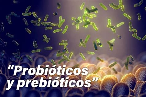 Probióticos Y Prebióticos Diferencias Qué Son Y Beneficios