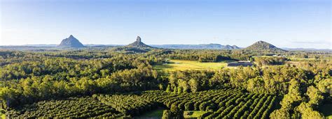 Panoramic Aerial View Of Mt Beerwah Mt Coonowrin And Mt Ngungun Glass