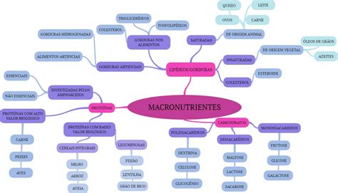 Mapa Conceptual Macronutrientes Porn Sex Picture