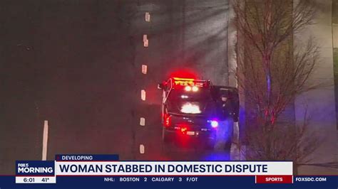 Investigation After Woman Stabbed In Alleged Domestic Dispute Man