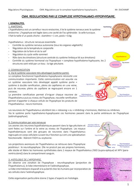 Cm R Gulations Physiologiques Cm Regulations Par Le Complexe