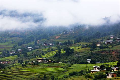 Punakha Weather and Climate: Best Time to Visit Punakha, Bhutan 2024