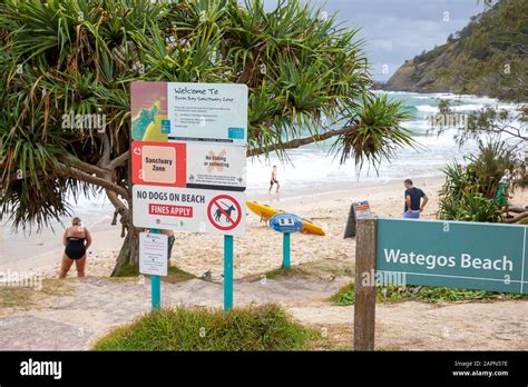 Byron Bay Wategos Beach And Screw Pine Pam Tree In Byron Bay Sanctuary