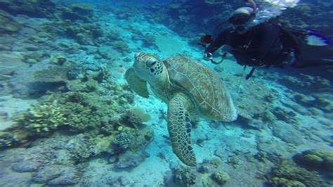 Cocos Dive Day Trips Cocos Keeling Islands All You Need To Know