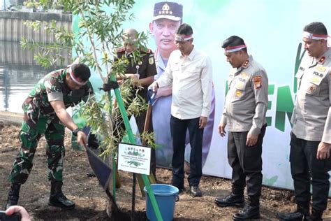 Pulihkan Kualitas Udara Dki Tanam Pohon Di Bantaran Kali Mookevart