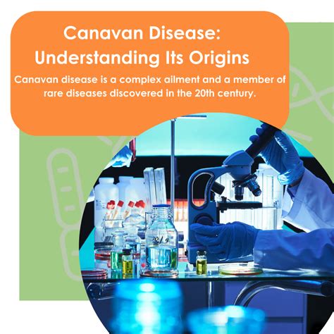 Canavan Disease Understanding Its Origins Myrtelle Inc