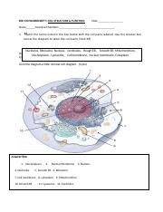 mod 4 BIO 130 Work sheet 5 cell structure and function 2020 krc 3 2 3 ... 