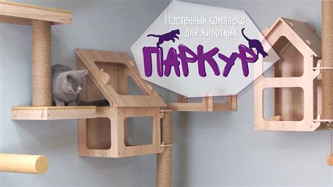 Настенный комплекс для животных "Паркур" - YouTube