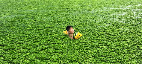 20 Unbelievable Photos Of Pollution In China Demilked