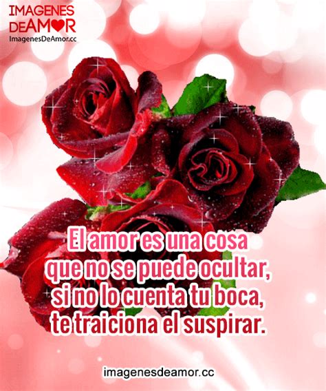 Imagenes De Rosas Con Frases