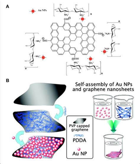 Self Assembly Of Already Synthesized Aunp On A Rgo Chitosan B On Download Scientific