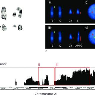 The Range Of Genetic Abnormalities Comprising B Other ALL The Relative