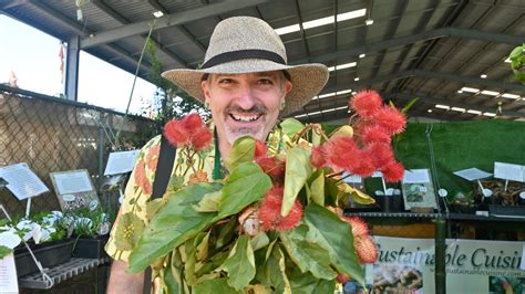 Queensland Garden Expo 2022 Attracts Thousands To Nambour Showgrounds