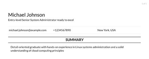 Senior System Administrator Career Objective Examples