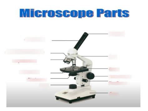 Parts of the Microscope Diagram | Quizlet