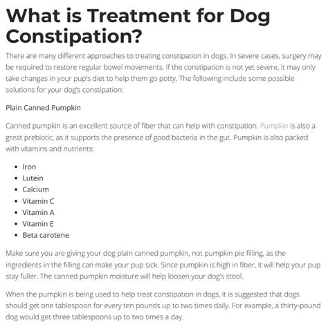 What To Do If Your Dog Cant Poop