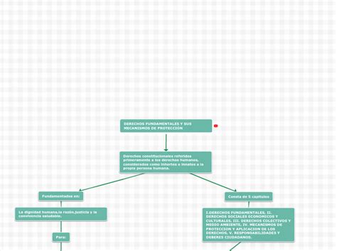 Derechos Fundamentales Y Sus Mecanismos Mind Map