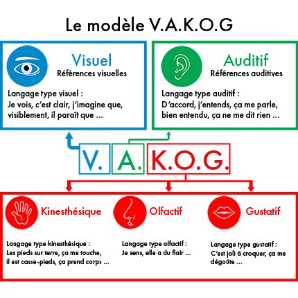 Concentr Action Identifier Son Profil D Apprentissage Acteurs