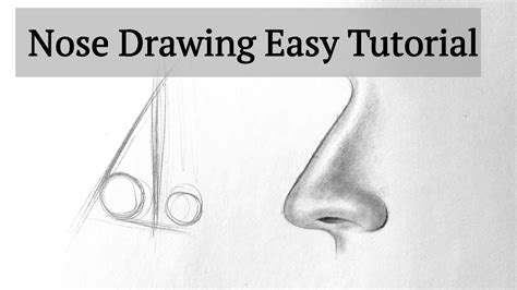 How To Draw A Nose Side View Easy Reference Drawing A Nose Step By