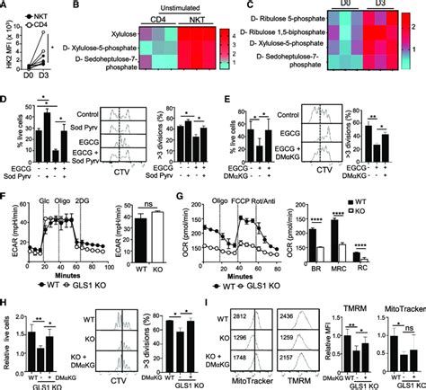 Nkt Cells Exhibit A Glutamine Addicted Phenotype A The Graph Shows