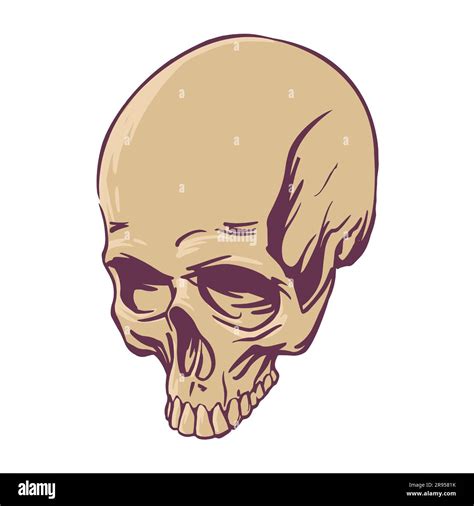 Realistic Skull Drawn For Tattoo Horror Design Symbol Of Death