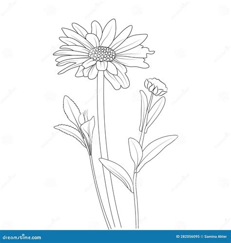 Simple Daisy Flower Coloring Pages Daisy Line Art Gerbera Daisy