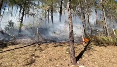 Incendio Forestal En La Sierra De Santiago Nuevo Le N Protecci N