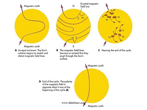 Sunspot Cycle