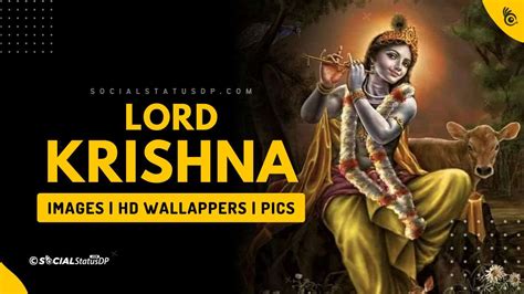 Krishna Quotes Wallpapers Top Free Krishna Quotes Backgrounds Wallpaperaccess