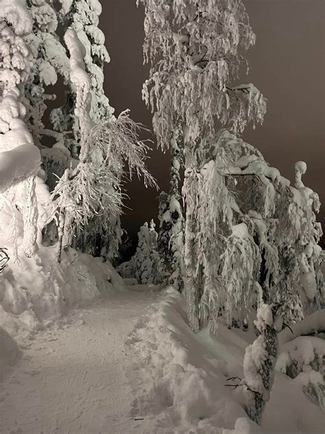 Levi secret cafe - Panorama laavu c - Popular and tiny snowy cafe