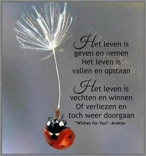 Het Leven Is Geven En Nemen Heart Quotes True Quotes Dutch Quotes