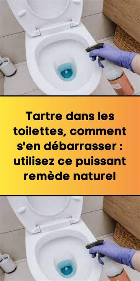 Tartre Dans Les Toilettes Comment S En D Barrasser Utilisez Ce