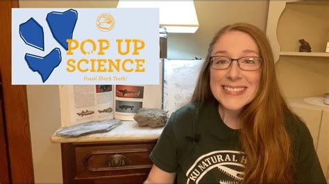 Pop Up Science Fossil Shark Teeth Youtube