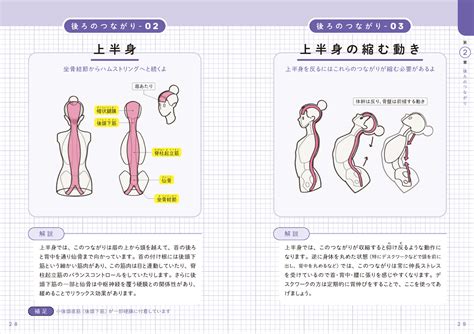 世界一わかりやすい 筋肉のつながり図鑑 出版書誌データベース