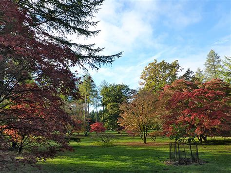 Westonbirt Arboretum Gloucestershire