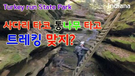 협곡 트레킹의 명소 터키런 스테이트 파크 Turkey run state park 3층 높이 사다리 타기 통나무 타고 협곡