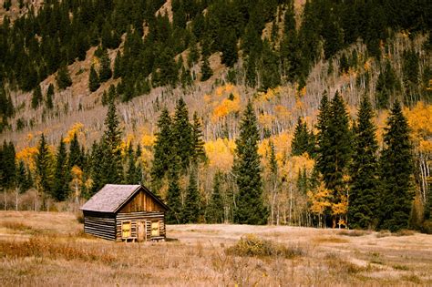 Free Images Landscape Tree Nature Wilderness Wood Field Meadow