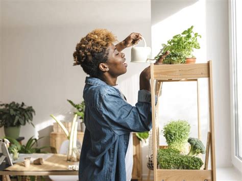 Come Coltivare Un Orto In Casa Donna Moderna