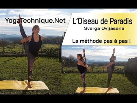 La Posture De L Oiseau De Paradis Repr Sente Le Yoga Avanc Cliquez