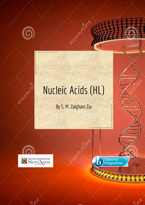 Solution Nucleic Acids Hl Solved Questions Studypool