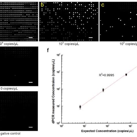 Digital PCR on the microfluidic dPCR chip with different concentration ...