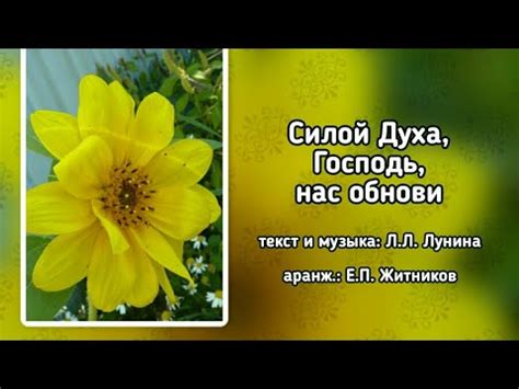 Источник хвалы 212 Силой Духа, Господь, нас обнови (-) - YouTube