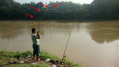 Mancing Di Sungai Bengawan Solo Umpan Tempe Busuk Paling Ampuh Untuk