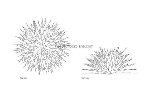 Agave Free Cad Drawings