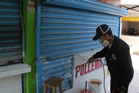 Realiza Gobierno Municipal Fumigaci N En El Mercado Malibr N E