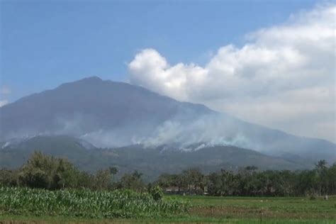 Kebakaran Hutan Di Gunung Lawu Berhasil Dipadamkan Antara News Jawa Timur