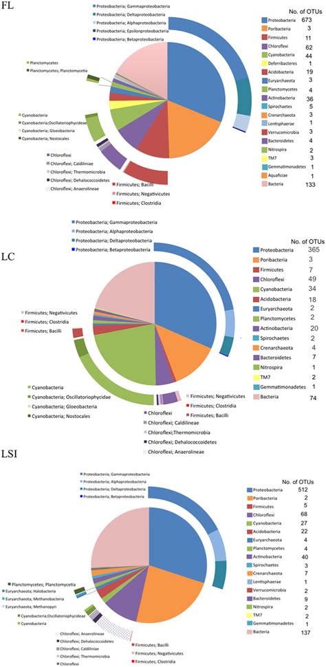 Relative Abundance Of S Ribosomal Rna Operational Taxonomic Units