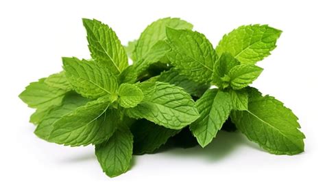 Premium AI Image A Close Up Of A Bundle Of Fresh Mint Leaves