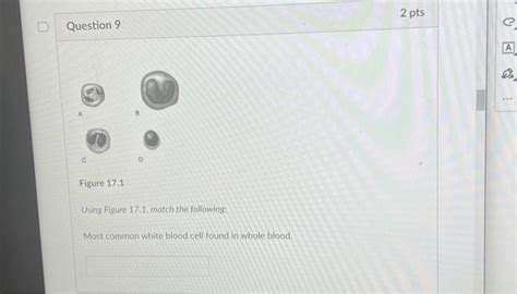 Solved Using Figure 17 1 Match The Following Most Common