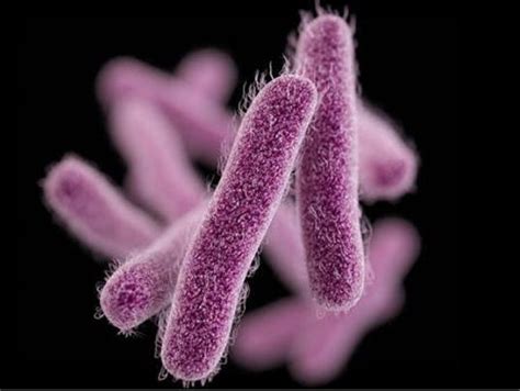 Drug-resistant stomach bug spreading in U.S.